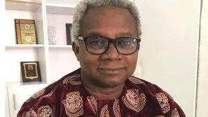 Presidential primary: Tinubu’s victory shows internal democracy unlike yours – Okechukwu hits ADC