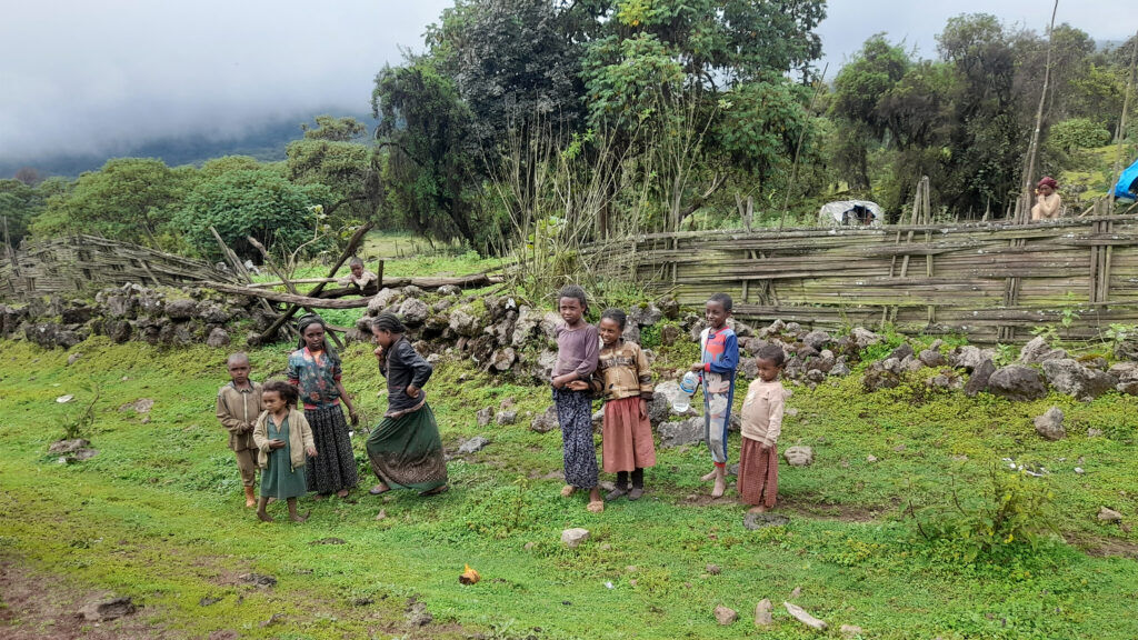 Ethiopia’s Protected Areas: Balancing Biodiversity Conservation and Local Livelihoods in a High-Stakes Trade-Off