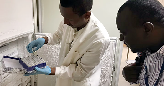 Groundbreaking NeuroDev Study Reveals New Genetic Insights into Neurodevelopmental Disorders from African Populations
