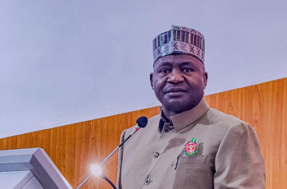 Nigeria’s Defence Chief Links Surge in Violence to Local Complicity