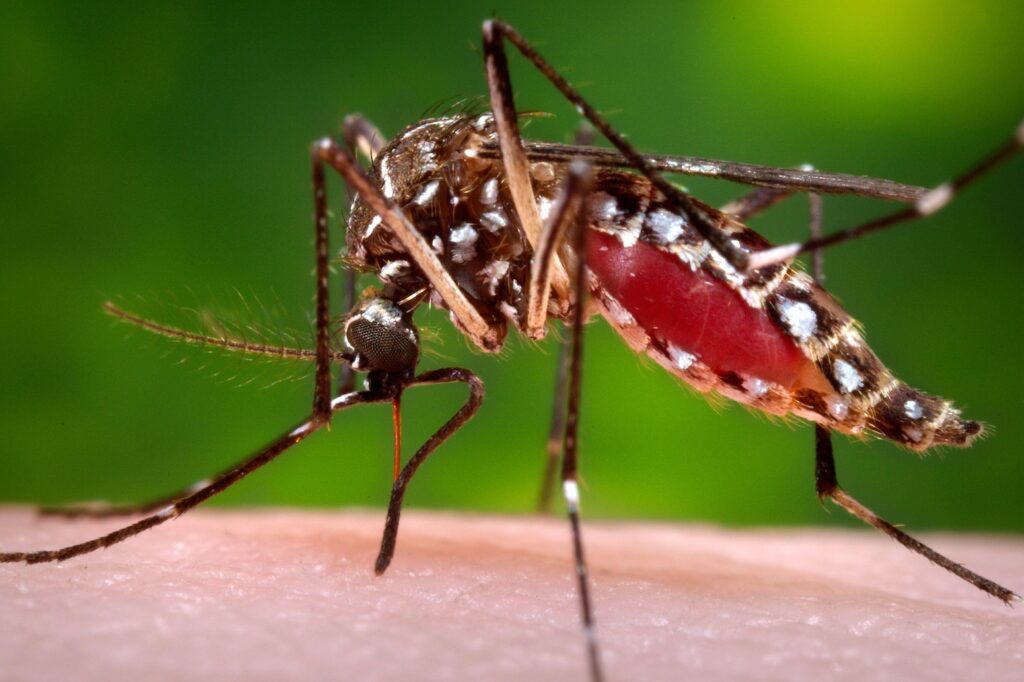 Climate Change Redefines Childhood Malaria Risk Across Africa: A Comprehensive Analysis of Shifting Patterns and Future Projections
