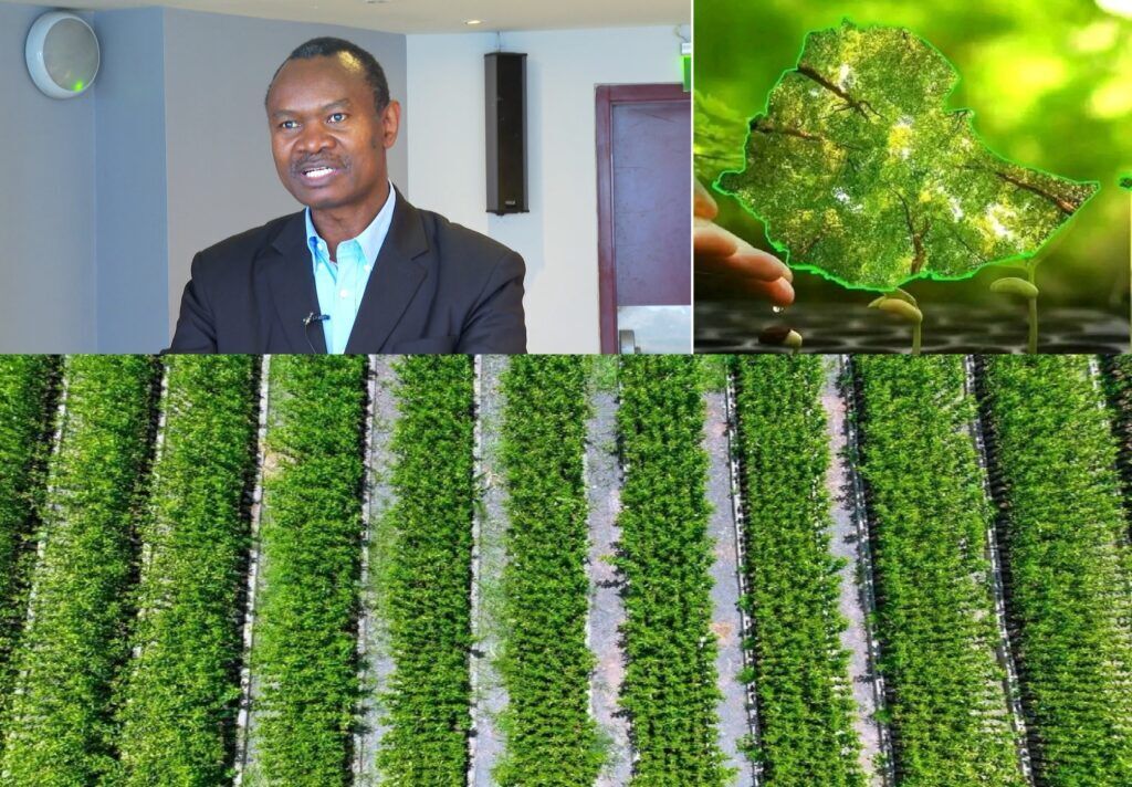 Ethiopia’s Groundbreaking Green Legacy Initiative: A Blueprint for Sustainable Development Through Inclusive Climate Action